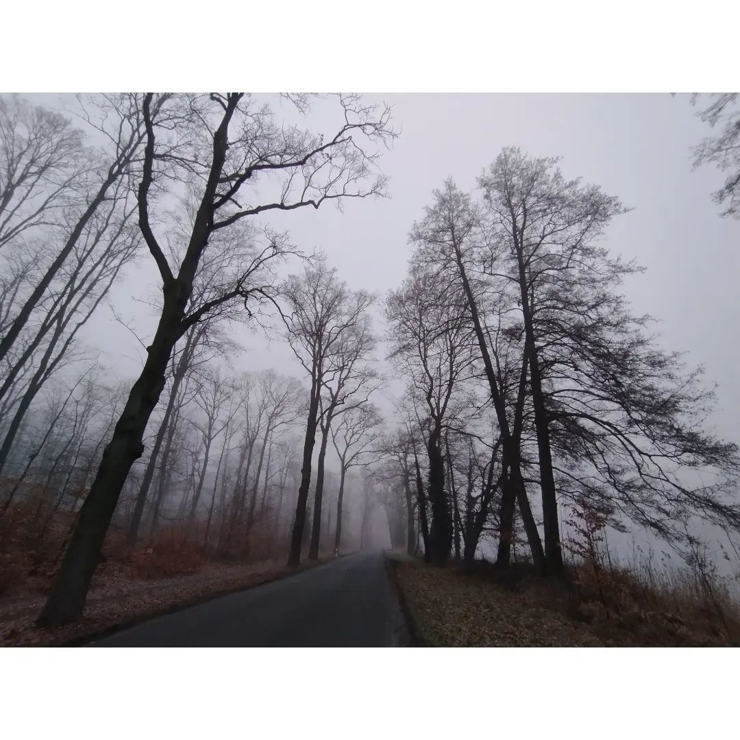 *Right now - my foggy morning at Lake Gohlitz*

#landscapephotography #landscape #instaworld_love #love_places #perfect_moment #followtoseetheworld #nature #nature_perfection #photooftheday #beautiful #landscapelovers #germany #land_brandenburg #kloster_lehnin